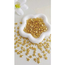 Gold Rengi Kulplu Yıldız Desen 10 mm Takı Aksesuar Boncuğu Plastik Boncuk 3 gr (45-50 Adet)