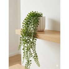 Kitchen Dream Uzun Sarkıt Çiçek Yapay Çiçek Plastik Saksıda Yeşil Sarkan Yeşillik Sarkıtı Dere Taşı Detaylı
