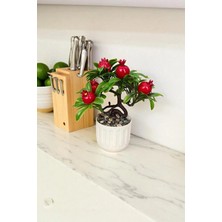 Kitchen Dream Çakıl Taşlı Saksıda Yapay Nar Ağacı 18 cm