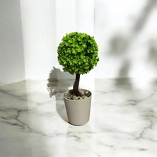 Kitchen Dream Şimşir Yapay Top Ağaç Dekoratif Yapay Çiçek