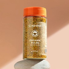 EĞRİÇAYIR ORGANİK KURU POLEN 300g