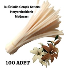 hyc heryerçiçeklenir 100 Adet Krem Şönil, Çiçek Yapımına Uygun Tüylü Tel, 30 cm 6mm