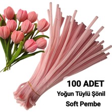 hyc heryerçiçeklenir 100 Adet Açık Pembe Şönil, Çiçek Yapımına Uygun Tüylü Tel, 30 cm 6mm