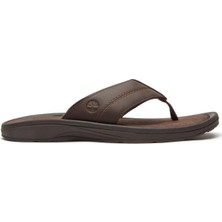 Timberland Originals Slıde Sandal Erkek Terlik TB0A2R4EEWI1