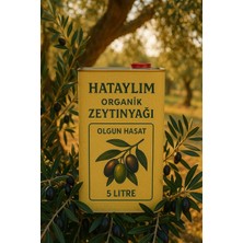 Hataylım Organik Olgun Hasat Zeytinyağı 5lt Teneke