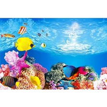 Arka Fon NO:9095 Kayıp Nemo 50 cm Uzunluk 30 cm Yükseklik