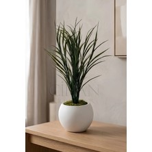 Cihan Çiçekçilik Küre Saksılı Koyu Yeşil Yapay Sazlık 80 cm