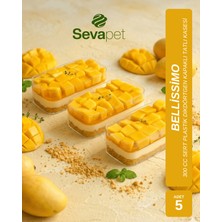 Sevapet 300 cc Bellissimo Tatlı Kasesi / 5 Adet Dikdörtgen Kapaklı Mika Kase