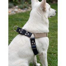 Balkonda Köpek Göğüs Tasması Büyük & Dev Irk Ayarlamalı Kolon Kordon ve Nubuk Deri Lacivert & Vizon