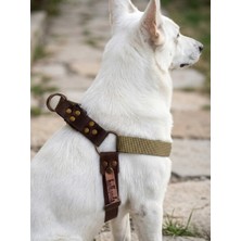 Balkonda Kişiye Özel Köpek Göğüs Tasması Ayarlanabilir Büyük Irk Kolon Kordon & Deri Haki & Kahverengi