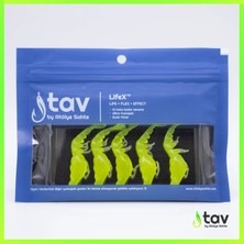 Tav Lifex™ Teke 55MM 5'li Paket Slime