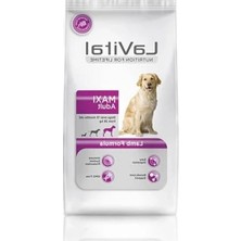 Die Grup Kuzu Etli Maxi Adult Köpek Maması 15 Kg, Besleyici