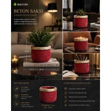 🌿 Bitkitürk El Yapımı Beton Saksı – Kırmızı & Gold Tasarım Dekoratif Saksı | Premium Salon ve Balkon Dekoru | 18 cm