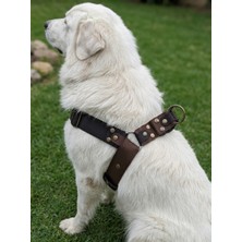 Balkonda Köpek Göğüs Tasması Büyük & Dev Irk Ayarlamalı 4 cm Genişlik Kolon Kordon Siyah & Kahverengi