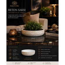 🌿 Bitkitürk El Yapımı Beton Dekoratif Kase Saksı – 25 cm Premium Tasarım | Çok Amaçlı Modern Salon Dekoru