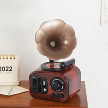 Hereveoyuncak Gramofon Müzik Kutusuu