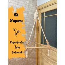 Ciko Kafes Halatlı Renksiz Jako Papağanları Için Salıncak