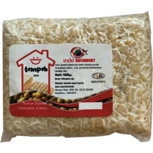 Indo Gastronomy Indo Gastronomi Tempeh 480G