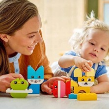 Urfakent Ilk 3'ü 1 Arada Yaratıcı Sevimli Hayvanlar