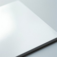 Orbak Kağıtçılık 10 x 20 Adestor Marka 50 Adet Düz Yapışkanlı Parlak Kuşe Etiket Sticker