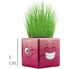 Ozcmax Çimm Adam Mini Küp Emoji Figürlü 1 Adet
