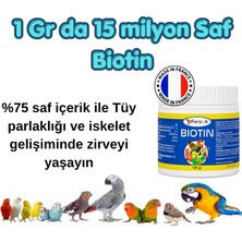 Feroxit %75 Saf Biotin – 1 Gramda 15 Milyon Güçlü Tüy Bakım Desteği Tüm Kuş Turleri Için 300 gr