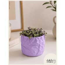 Dekoratif Kese Kağıdı Saksı-Bitki,Çiçek,Kaktüs ve Sukulent Saksısı- Modern Tarz Saksı