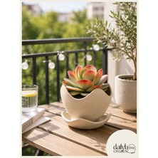Dekoratif Kaseli Saksı-Bitki,Çiçek,Sukulent ve Kaktüs Saksısı-Modern Tarz Saksı