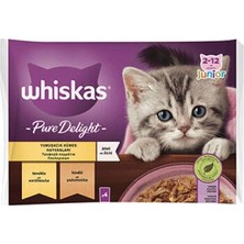 Bezos Pouch Pure Delight Jöle Içinde Tavuklu ve Hindili Yavru Kedi Konservesi 4X85 gr
