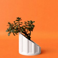 Dekoratif Yarım Sütun Saksı 15CM