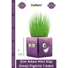 Carlburn #çimadam Hediyelik Eğitici Doğal Oyuncak Dekoratif Tasarım Çim Adam Mini Küp Emoji Figürlü 1 Adet