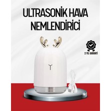 El Tipi USB Mini Soğuk Mist Nemlendirici 220 ML Tank