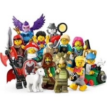 Die Grup  Paket - LEGO Minifigür - 71045 Serisi