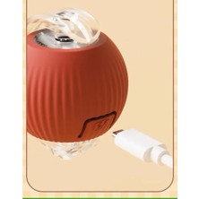 Ozcmax Şarjlı Kedi Oyuncaağı