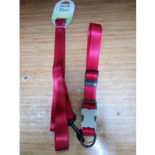 Senye Köpek Takım Boyun Tasma Xl 2.5cm 120 cm