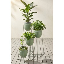 Desen Dekorasyon 4'lü Ayaklı Metal Saksı Seti - Orkide Çiçek Saksılığı Mint Yeşili