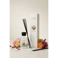 Scentbox Flower Bouquet Oda Kokusu 100ML