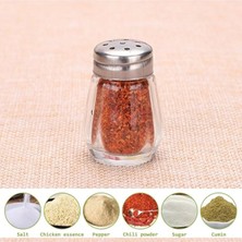 Kitchen Dream Salty Cam 1 Adet Tuzluk 20ML Oval Tek Kişilik Tuzluk-Karabiberlik Seti Paslanmaz Çelik Kapak