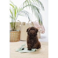 Puppy Cuddle Cloth Dimpie L: 31 cm G: 31 cm Nane Yeşili