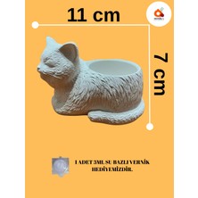 Homika Dekorasyon Sevimli Kedi Taş Tozu Saksı Mumluk Mini Sukulent Dekoratif Biblo