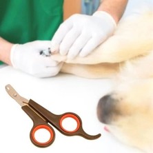 İlkyaz Fashion Küçük Çelik Uçlu Kedi Köpek Evcil Hayvan Tırnak Makası Pati Bakım Aleti Ergonomik Kaymaz Sa