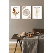Muyika Design Çerçeveli Tablo Seti 3'lü Line Art Bitki Çizgili Minimalist Doğa Serisi - Dekoratif Kombin