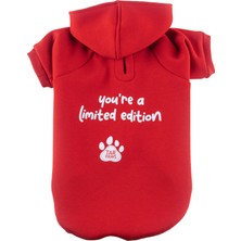JesPawty Kırmızı Kapüşonlu Köpek Kıyafeti