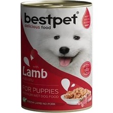 Bestpet Jöle Içinde Parça Kuzu Etli Konserve Yavru Köpek Maması 400 gr