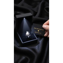Livora Jewelry Işıklı Hediye Kutulu Orijinal 925 Ayar Gümüş Sedefli Modern Spor Kadın Yüzük