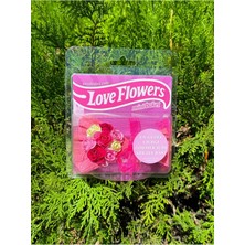 Merit Flower Mini Buket Aynalı Love Flowers Tasarım Pembe Çiçek, Sevgiliye Hediye