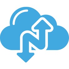 Narbulut 100GB Yedekleme Alani 1 Server 1yil - Professional Edition