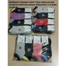 Efem İç Giyim Bayan Kışlık Bilek Kısmı Renkli Termal Havlu Çorap 12'li Paket Paketler Karışık Renklidir