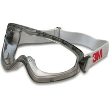 3M 2890 Güvenlik Gözlüğü As/Af