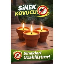 Binbirreyon Citronella Çömlekte Mum Seti Sinek Kaçıran Mum Adetli Setler 6x6,7cm MA067